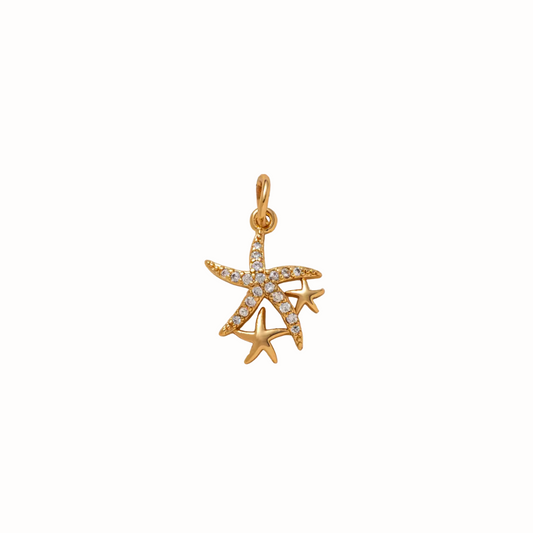Star Fish Charm